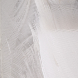 Spirit River UV2 Turkey Flats