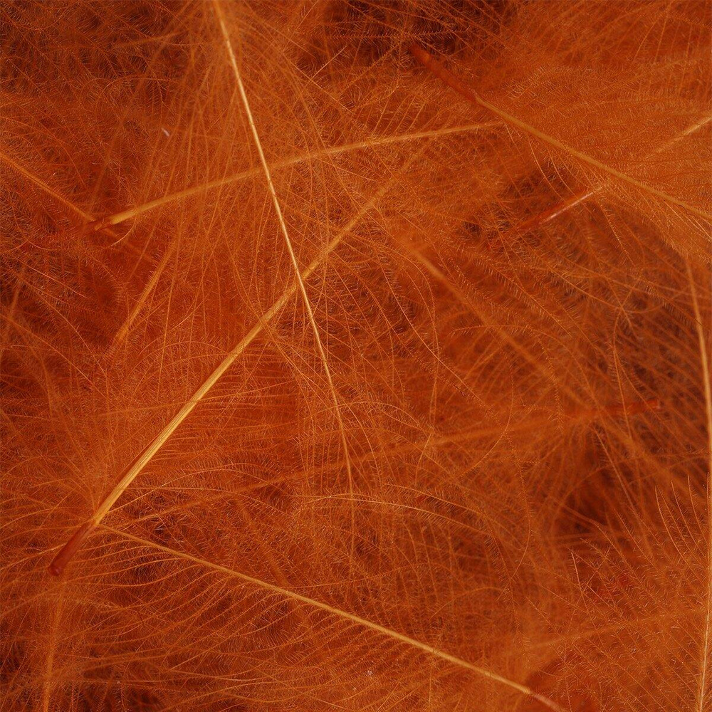 Rust