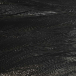 Ewing Wooly Bugger Saddle Patch Dyed