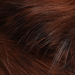 Spirit River UV2 Jailhouse Rabbit