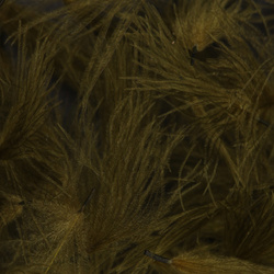 Wapsi chumáčiky CDC