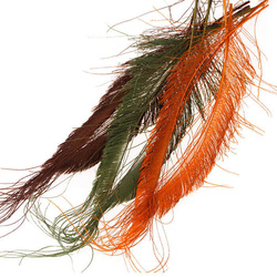 FFGene valkaistut riikinkukon miekkapyrstösulat