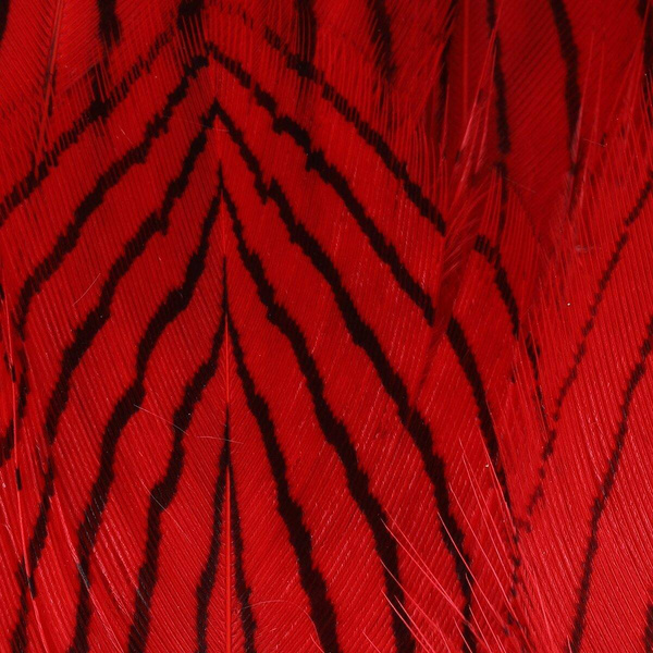 Hareline Silver Pheasant Body Feathers