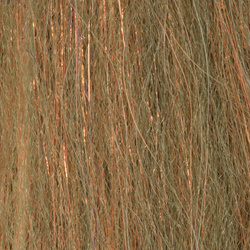 H2O Sculpting Flash Fibre