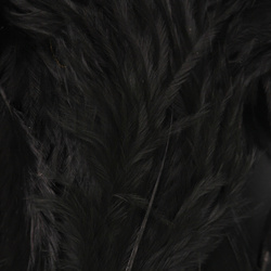 Wapsi White Matuka Soft Hackle