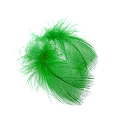 FFGene Mallard chest feathers