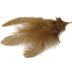 Wapsi Pene pentru soft hackle Matuka White