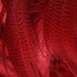 Spirit River UV2 Mallard