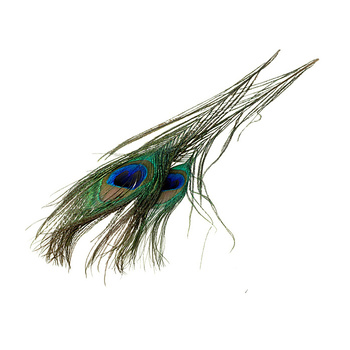 FFGene Peacocks eyes - Two pieces