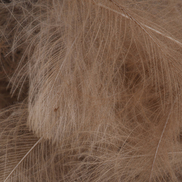 FFGene CDC Oxyd Jambo Pack - 1 gr