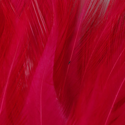 FFGene Strung Saddles Hackle