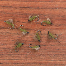 Olive CDC Emerging Nymph