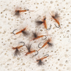 CDC Parachute Rusty Brown