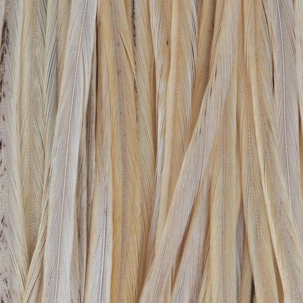 Whiting Hanesaddel til tørfluer