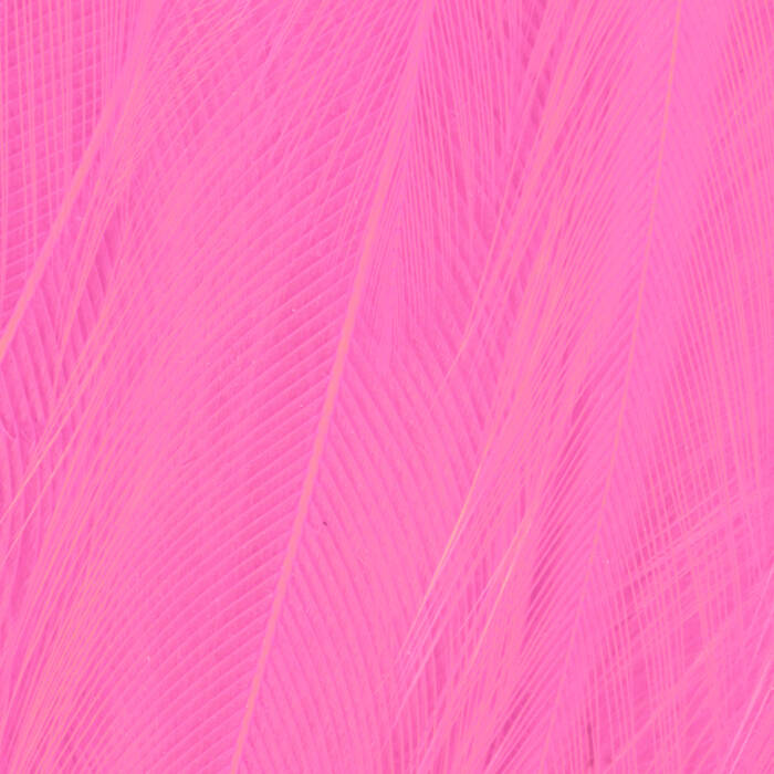 Fl. Pink