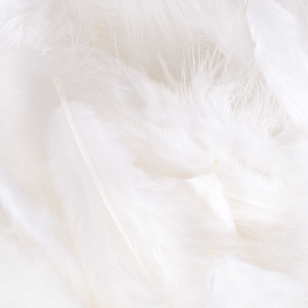 Hareline mini marabutollak