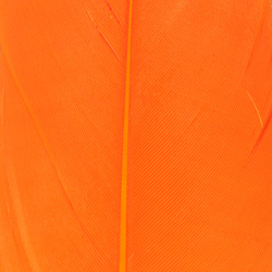 Hareline Select Goose Shoulder