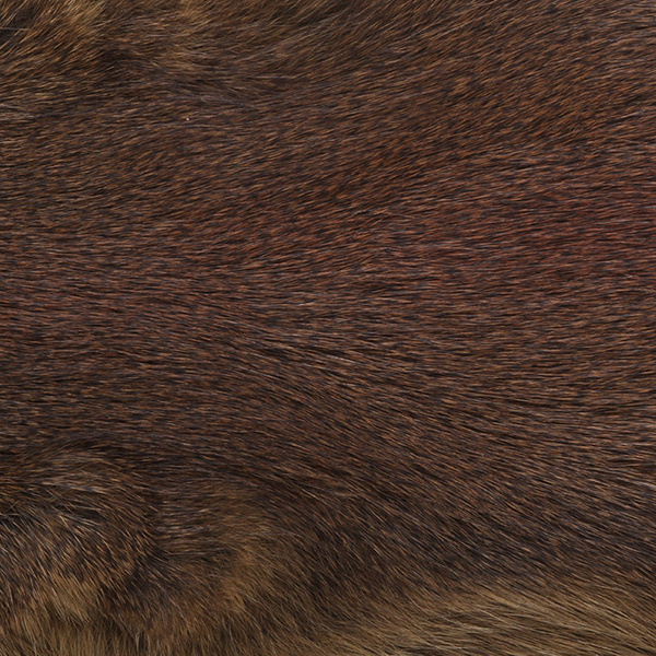 Wapsi Whole Pine Squirrel Skin