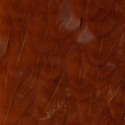 Wapsi Hen Saddle Patches