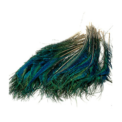 FFGene Peacock sword tails
