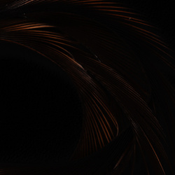 Wapsi Goose Biots