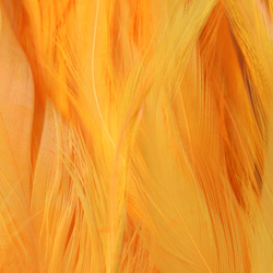 FFGene Strung Saddles Hackle