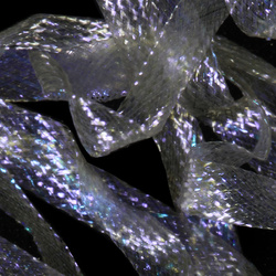 Sybai Pearl Braidback 4.5 mm