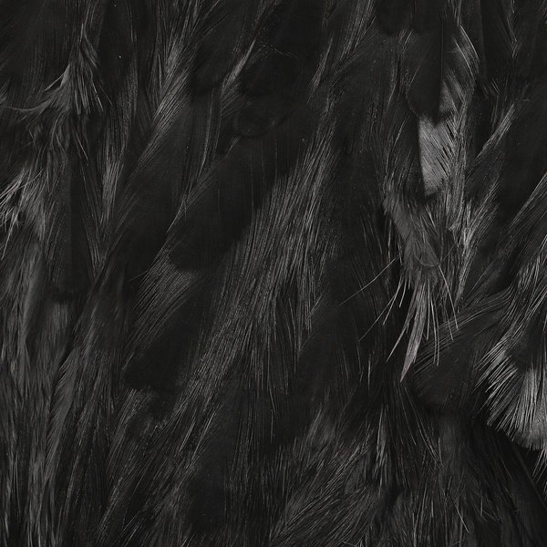 Péřový plátek s pírky soft hackle a marabu – Hareline
