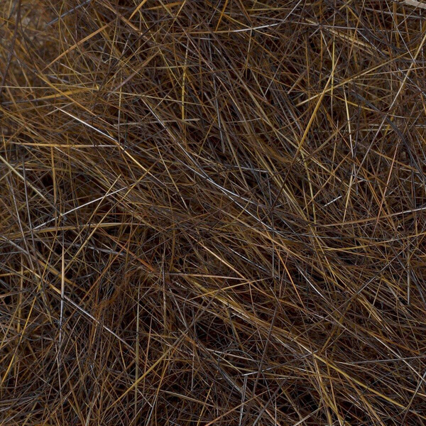 FFGene Nutria Dubbing