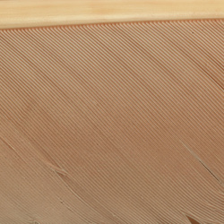 Hareline Turkey Biot Quills