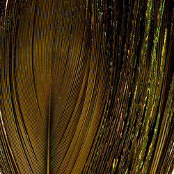 FFGene Peacock Eyes color