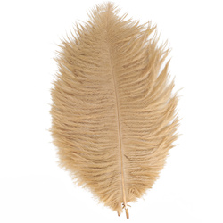 FFGene Ostrich Hackle Feathers