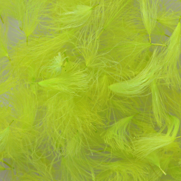 Hareline CDC Oiler Puffs – CDC-pehelycsomók
