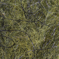 Hareline Cohens Carp Dub