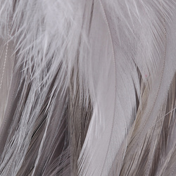 Hareline Strung Chinese 5-7 Saddle