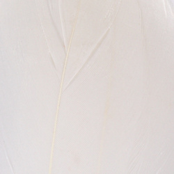 Hareline Select Goose Shoulder