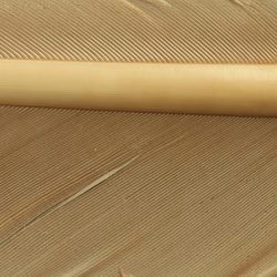 Hareline Turkey Biot Quills