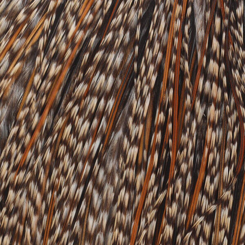 #1/1 - Grizzly Variant