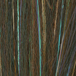 H2O Mega Flash Blend