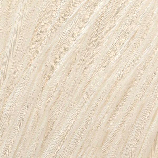 Wapsi Dry Fly Neck Hackle