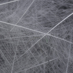 Spirit River UV2 Select CDC