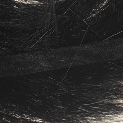 Wapsi Awesome Possum Zonkers