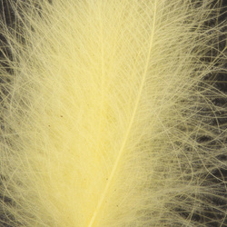 Wapsi CDC Super Select