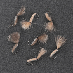 CDC Beetle Brown