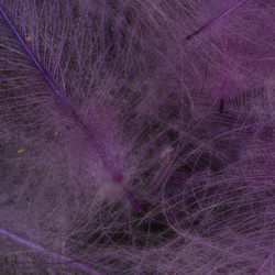 FFGene CDC Color Jambo Pack - 1 gr