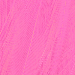 Wapsi Chinese Streamer Rooster Neck