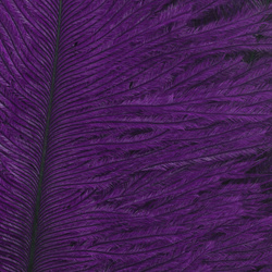 Wapsi Ostrich Marabou