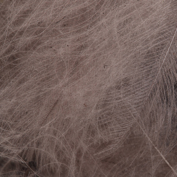 FFGene CDC Color Jambo Pack - 1 gr