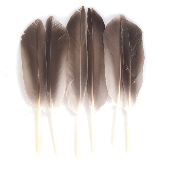 FFGene MALLARD WILD BIOTS