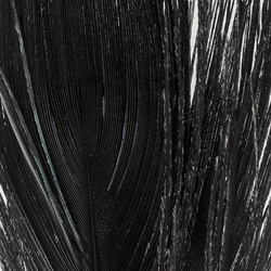 FFGene Peacock Eyes color